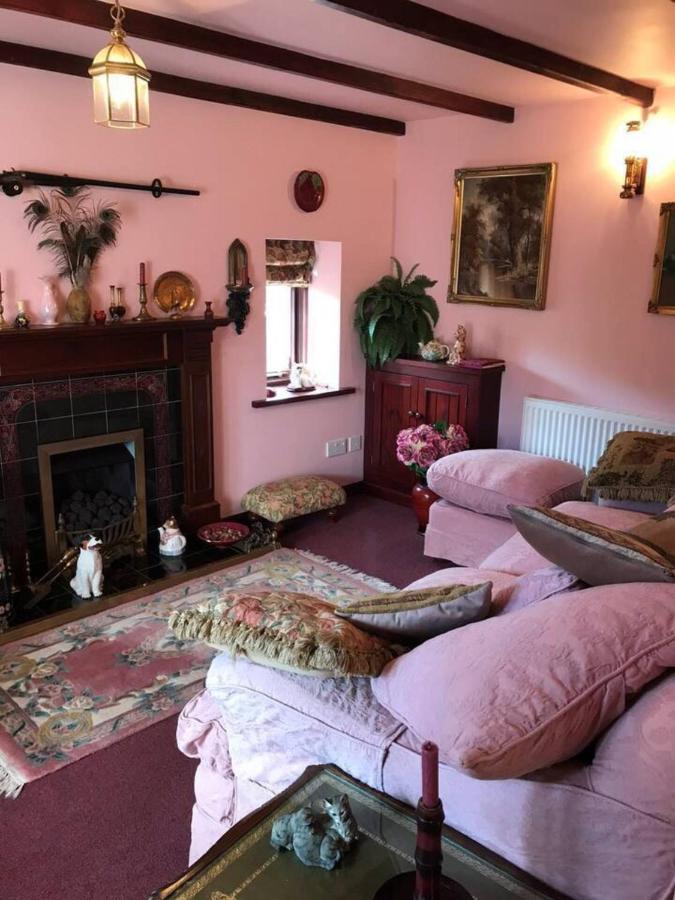 Cosy Cottage For Ecotourism Lovers Near Corwen Exterior photo