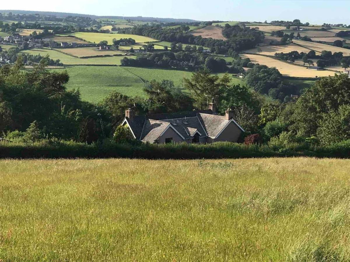 Cosy Cottage For Ecotourism Lovers Near Corwen Exterior photo