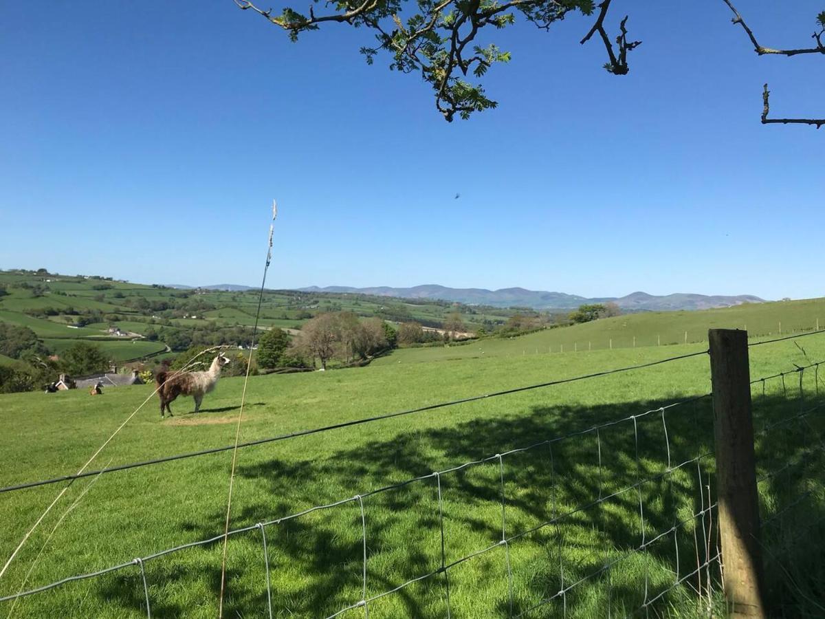 Cosy Cottage For Ecotourism Lovers Near Corwen Exterior photo